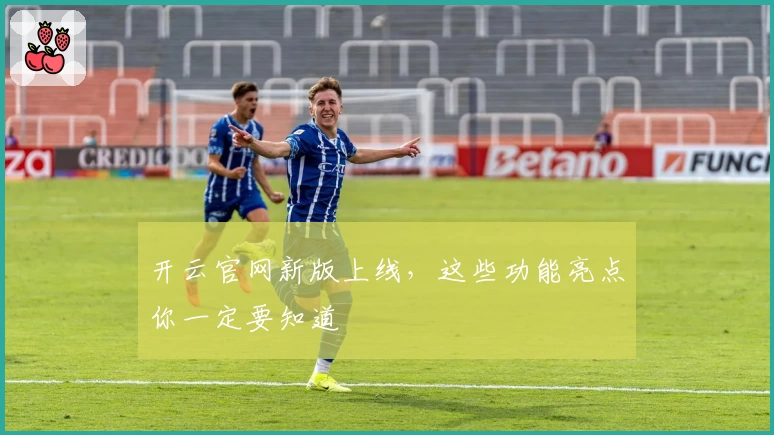 开云官网新版上线，这些功能亮点你一定要知道